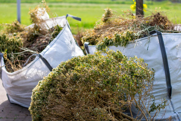 Best Dumpster Rental Services  in Malta, IL