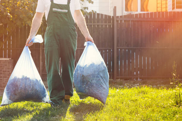 Best Furniture Removal Near Me  in Malta, IL